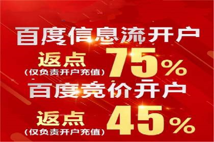 网站sem托管案例分享：如何精准投放广告